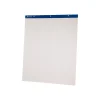 Ampad Easel Pad, 27" x 34", 50 Sheets/Pad, 2 Pads/Carton (24-028)
