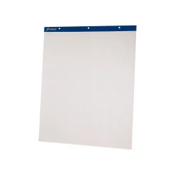 Ampad Easel Pad, 27" x 34", 50 Sheets/Pad, 2 Pads/Carton (24-028)