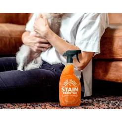 Angry Orange Enzyme Stain and Odor Remover, Orange Twist Scent, 24 fl. oz. (AORCITRUS24OZFG)