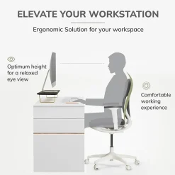 Anji Mountain Mango Wood & Metal Monitor Stand with Two USB Ports and Drawer, Black and Gold (MS-BLK-06GLD-PD)