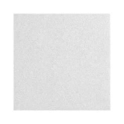 Armstrong CALLA Health Zone Square Edge Ceiling Tile 15/16, 24" x 24", White, 10/Carton (BP2230)