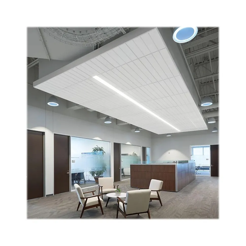 Armstrong CIRRUS Second Look Beveled Tegular Edge Ceiling Tile 15/16, 24" x 48", White, 6/Carton (BP514A)