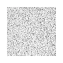 Armstrong CIRRUS Tegular Edge Ceiling Tile 15/16, 24" x 24", White, 10/Carton (BP572A)
