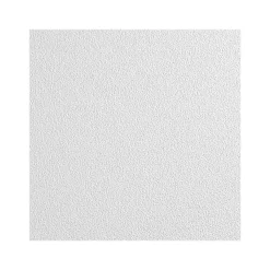 Armstrong CLEAN ROOM VL Square Lay-In Edge Ceiling Tile, 24" x 48", White, 8/Carton (BP870B)
