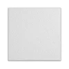 Armstrong CLEAN ROOM VL Square Lay-In Edge Ceiling Tile, 24" x 24", White, 12/Carton (BP868B)
