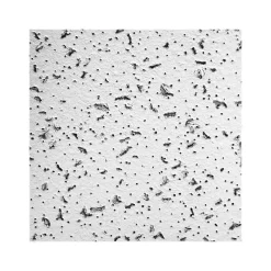 Armstrong CORTEGA Square Lay-In Edge Ceiling Tile, 24" x 24", White, 16/Carton (BP770)