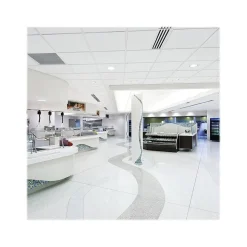 Armstrong DUNE Second Look Angled Tegular Edge Ceiling Tile, 24" x 48", White, 10/Carton (BP2711A)