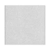 Armstrong DUNE Tegular Edge Ceiling Tile 15/16, 24" x 24", White, 16/Carton (BP1774)
