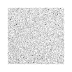 Armstrong DUNE Tegular Edge Ceiling Tile 15/16, 24" x 24", White, 16/Carton (BP1774)