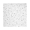 Armstrong FINE FISSURED High NRC Angled Tegular Edge Ceiling Tile, 24" x 24", White, 10/Carton (BP1756B)
