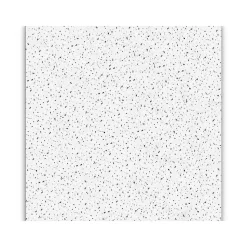 Armstrong FINE FISSURED Square Lay-In Edge Ceiling Tile, 24" x 24", White, 12/Carton (BP1713)
