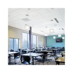 Armstrong GEORGIAN Square Lay-In Edge Ceiling Tile, 24" x 48", White, Dozen (BP763D)