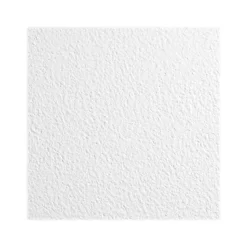 Armstrong KITCHEN ZONE Square Lay-In Edge Ceiling Tile, 24" x 24", White, 16/Carton (BP673)