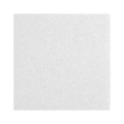 Armstrong LYRA Plant-Based Square Tegular Edge Ceiling Tile 15/16, 24" x 48", White, 12/Carton (BP8352PB)