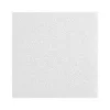 Armstrong LYRA Plant-Based Square Tegular Ceiling Tile 9/16, 24" x 48", White, 12/Carton (BP8357PB)