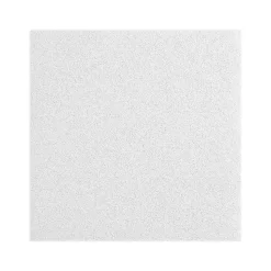 Armstrong LYRA Plant-Based Square Lay-In Ceiling Tile, 24" x 24", White, 24/Carton (BP8372PB)