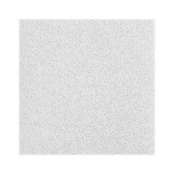 Armstrong OPTIMA Square Lay-In Edge Ceiling Tile, 24" x 24", White, 24/Carton (BP3152)