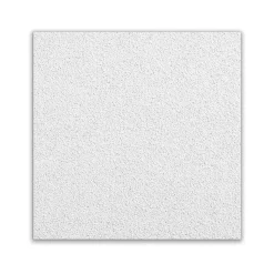 Armstrong ULTIMA High NRC Beveled Tegular Edge Ceiling Tile, 24" x 24", White, 10/Carton (BP1941A)