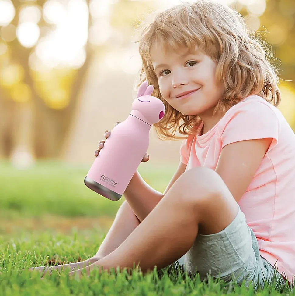 ASOBU Bestie Bottle Bunny Vacuum Insulated Stainless Steel Water Bottle with Reusable Flexi Straw, 16 oz., Pink (SBV44BU)