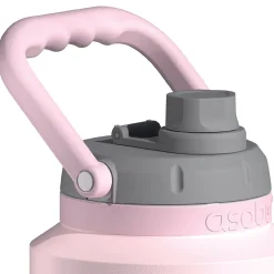 ASOBU Stainless Steel Insulated Mini Jug, 33 oz., Pink (NA-SJU3P)