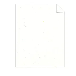 Astrobrights 65 lb. Cardstock Paper, 8.5" x 11", Stardust White, 250 Sheets/Pack (21408/22401)