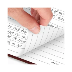 AT-A-GLANCE Standard Hardcover 2025 Daily Diary, 7.75