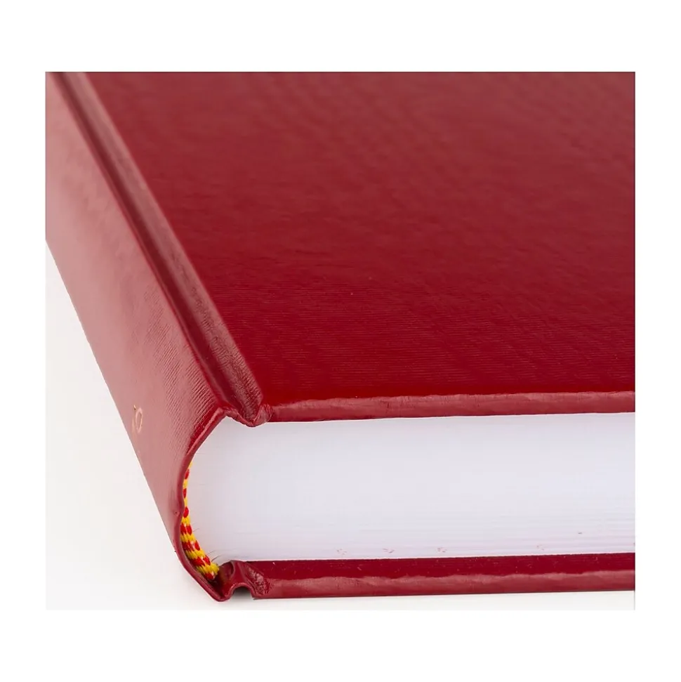 AT-A-GLANCE Standard Hardcover 2025 Daily Diary, 7.75" x 12", Ruled, Red (SD377-13-25)