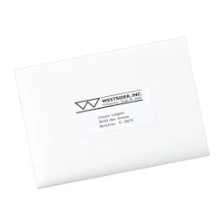 Avery Copier Shipping Labels, 2" x 4-1/4", Matte White, 1000 Labels/Box (5352)