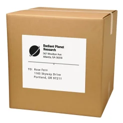 Avery Copier Shipping Labels, 8-1/2" x 11", White, 100 Labels/Box (5353)