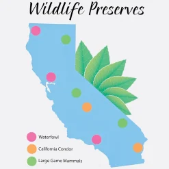 Avery Easy Peel Laser Color-Coding Labels, 3/4" Dia, Assorted Neon, 1,008 Labels/Pack (5474)