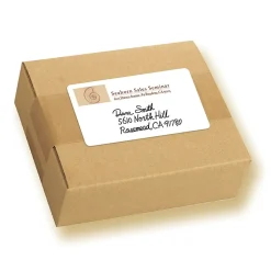 Avery Laser/Inkjet Multipurpose Labels, 2" x 4", White, 100 Labels/Pack (5444)