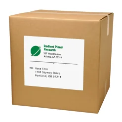 Avery Laser/Inkjet Shipping Labels, 8-1/2" x 11", White, 250 Labels/Box (95920)