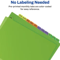 Avery Plastic Pre-Printed Monthly Plastic Divider, Jan-Dec Tabs, Multicolor, 1 Set (11331)