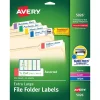 Avery TrueBlock Laser/Inkjet Extra Large File Folder Labels, 15/16" x 3-7/16", Assorted Colors, 450 Labels/Pack (5026)