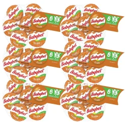 Babybel Gouda Cheese, 6/Pack (600-00230)