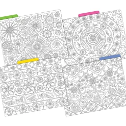 Barker Creek Color Me! File Folder Set, 1/3-Cut Tab, Letter Size, In My Garden, 12/Pack (2008)