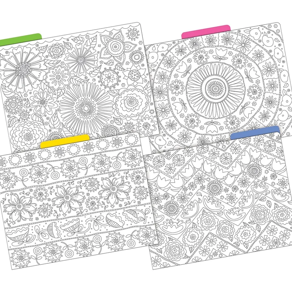 Barker Creek Color Me! File Folder Set, 1/3-Cut Tab, Letter Size, In My Garden, 12/Pack (2008)