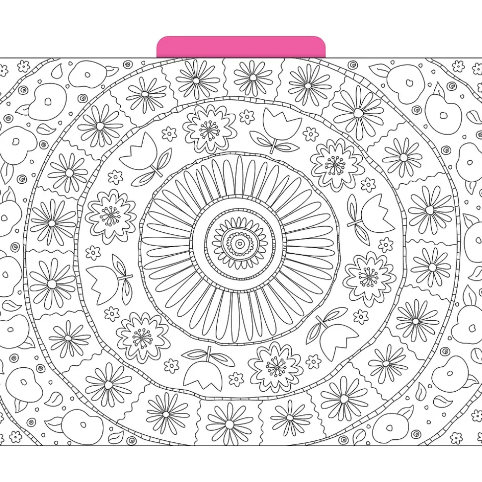 Barker Creek Color Me! File Folder Set, 1/3-Cut Tab, Letter Size, In My Garden, 12/Pack (2008)