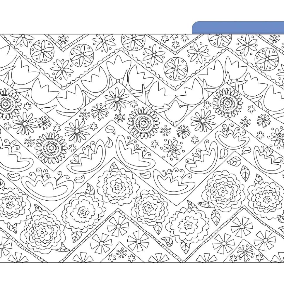 Barker Creek Color Me! File Folder Set, 1/3-Cut Tab, Letter Size, In My Garden, 12/Pack (2008)