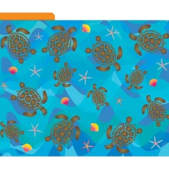 Barker Creek File Folder Set, 1/3-Cut Tab, Letter Size, Kai Ola, 12/Pack (2006)