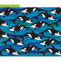 Barker Creek Sea & Sky File Folder, 1/3-Cut Tab, Letter Size, Assorted, 12/Pack (2015)