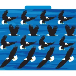 Barker Creek Sea & Sky File Folder, 1/3-Cut Tab, Letter Size, Assorted, 12/Pack (2015)