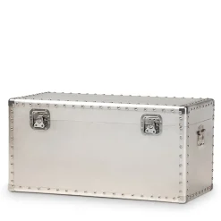 Baxton Studio Serge 13.98" High Storage Trunk, Silver (160-10246-HiT)