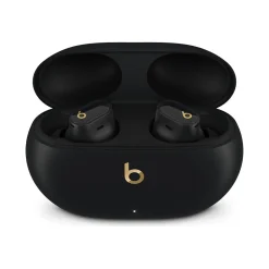Beats Studio Buds + True Wireless Active Noise Canceling Earbuds, Bluetooth, Black/Gold (MQLH3LL/A)