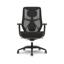 Beautyrest Duo-EX Ergonomic Mesh Swivel Task Chair, Black/Gray (60051GRY)