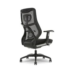 Beautyrest Duo-EX Ergonomic Mesh Swivel Task Chair, Black/Gray (60051GRY)