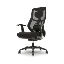 Beautyrest Duo-EX Ergonomic Mesh Swivel Task Chair, Black/Gray (60051GRY)