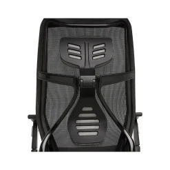 Beautyrest Duo-EX Ergonomic Mesh Swivel Task Chair, Black/Gray (60051GRY)
