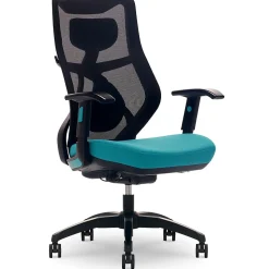 Beautyrest Duo-EX Ergonomic Mesh Swivel Computer Chair, Teal (60051-TEL)
