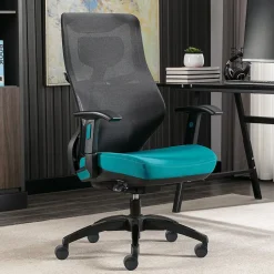 Beautyrest Duo-EX Ergonomic Mesh Swivel Computer Chair, Teal (60051-TEL)